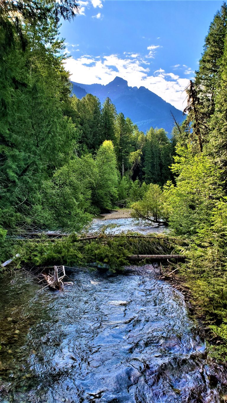 Glacier National Park: Avalanche Lake Trail - The Wanderful Moments