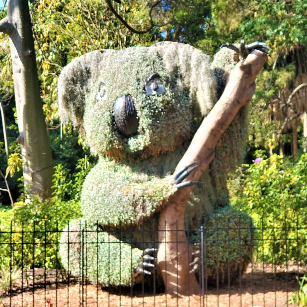 Giant Koala plant sculpture in Royal Botanic Gardens in Sydney