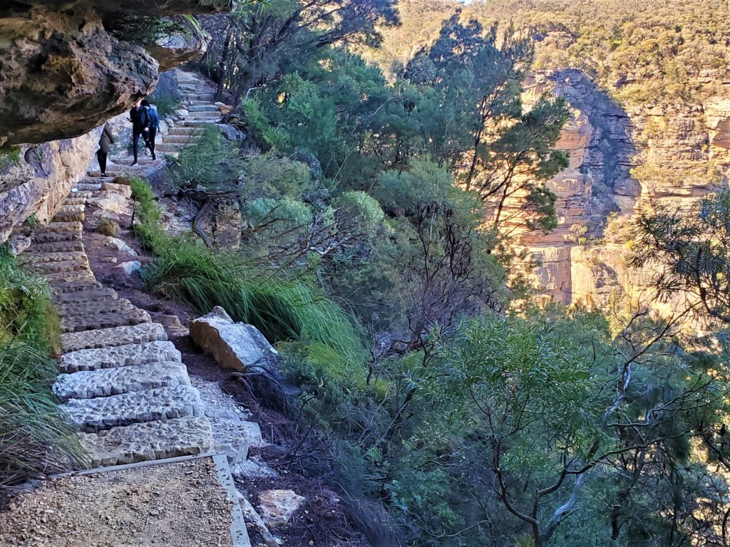 Cliff Walk to Wentworth Falls in Blue Mountains