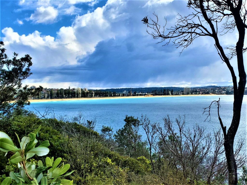 View of Manly Beach from Shelly Head Lookout