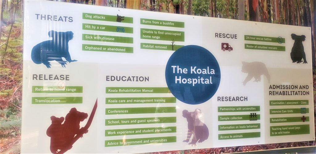 The Koala Hospital's mission board. Main threats to koalas, how they are rescued and released.
